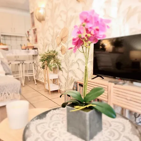 Appartement Tropical En Playa Del Ingles Maspalomas (Gran Canaria)